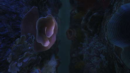 20,000 Miles Under the Sea screenshot 5