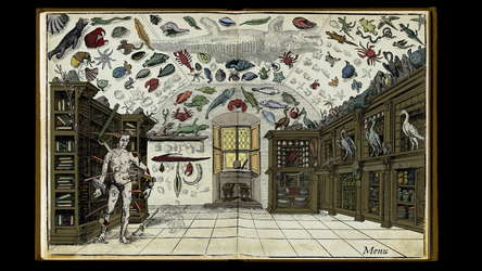 Wound Man screenshot 4
