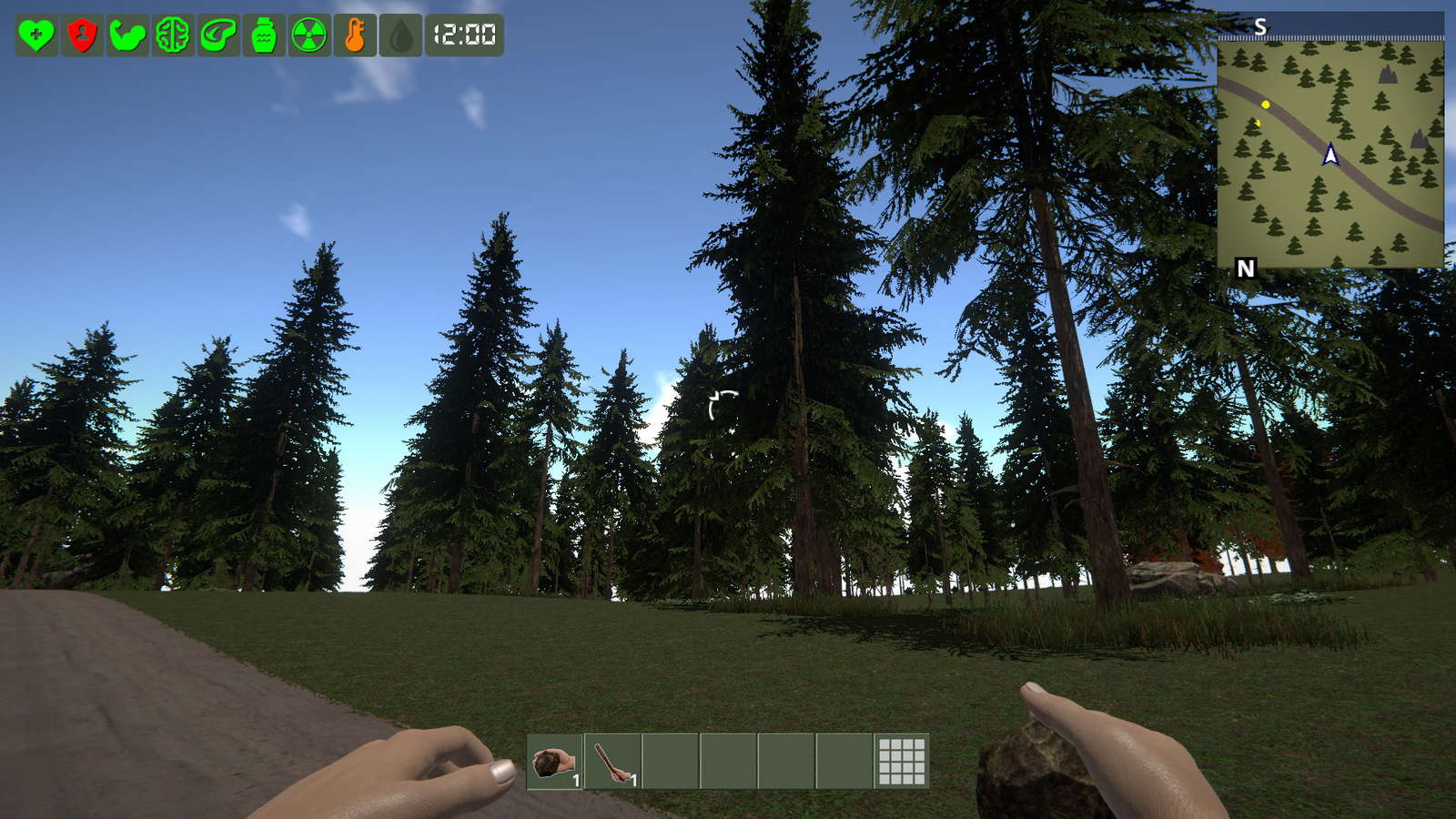 The Survivor screenshot