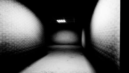 SKIBIDI BACKROOMS screenshot 3