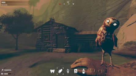 Birds Watching screenshot 2
