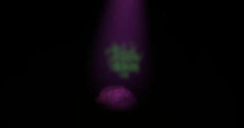 Somnium Tenebris screenshot 7
