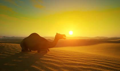 Scorching Desert screenshot 8