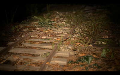 NARIBIKIMURA screenshot 10