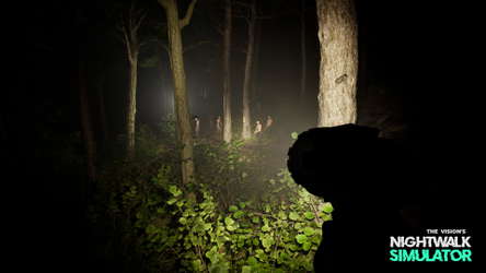 Nightwalk Simulator screenshot 4