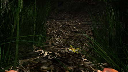 Miasmata screenshot 12