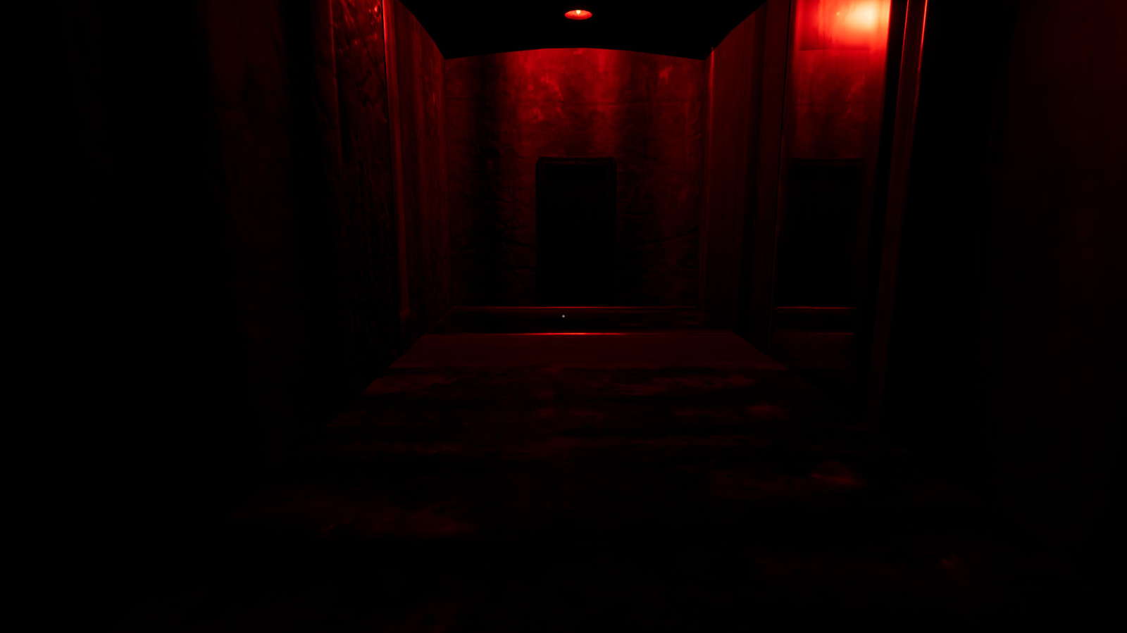 Schizophrenia screenshot