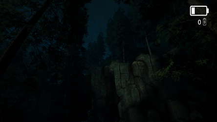 Forest Lookout screenshot 4