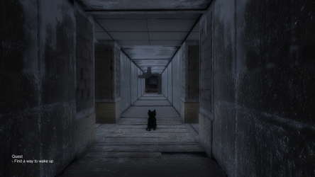 Black Cat screenshot 4