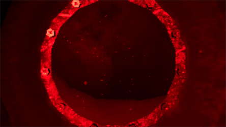 Submergent screenshot 5