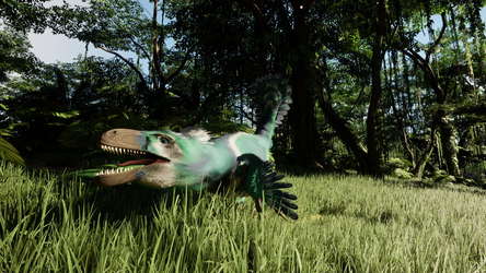 Sanctuary Island screenshot 1