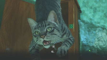 杀青 screenshot 12