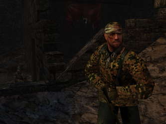 Return to Castle Wolfenstein screenshot 5