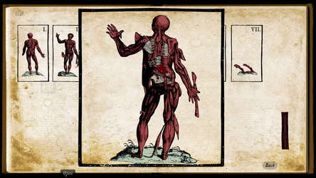 Wound Man screenshot 2