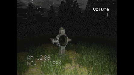The Silent Witness screenshot 3