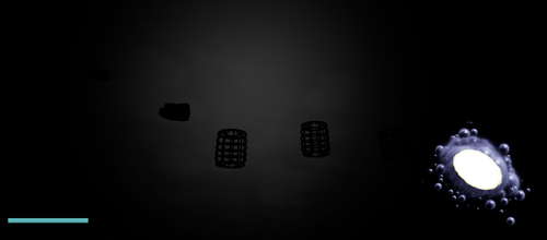 Loreen's Purgatory screenshot 1