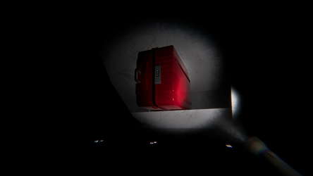 Disclosure screenshot 9