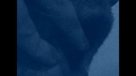 HORSE screenshot 6