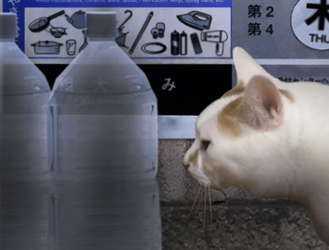 Tsugunohi screenshot 8