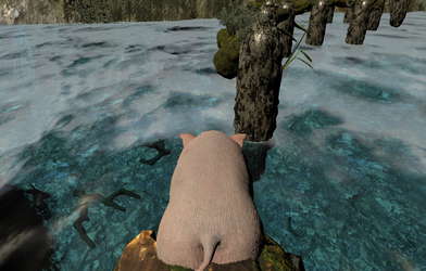 Divine Pig screenshot 4