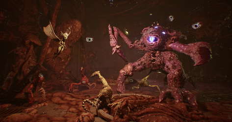 Arboria screenshot 14