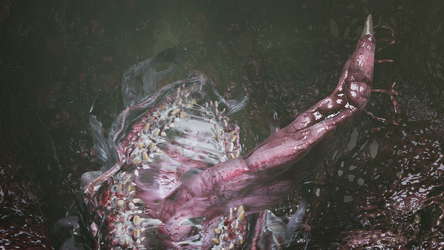 Vorax screenshot 12
