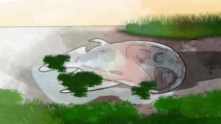 Melancholy Lake - Camocipher12 Shorts screenshot 2