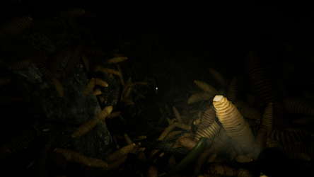 Shadow of Ether screenshot 9