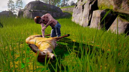 Desperate Island screenshot 5