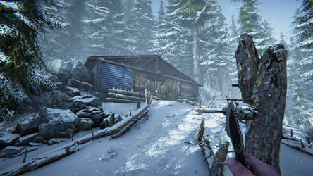 Silence In The Cabin screenshot 4