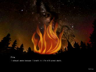 (Neg)Entropic Wandering screenshot 3
