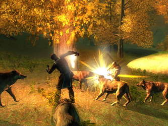 Drakensang screenshot 33