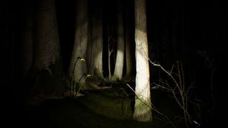 Search 4 Bigfoot screenshot 1