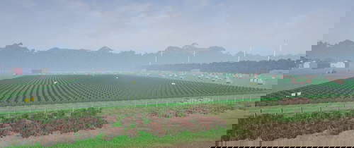 Lawnmower Game screenshot 1