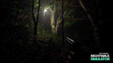 Nightwalk Simulator screenshot 9
