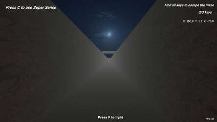 SHADOW MAZE Descent into Fear screenshot 4