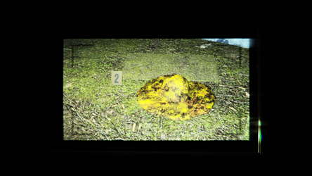 .redruM screenshot 4