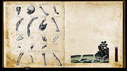 Wound Man screenshot 22