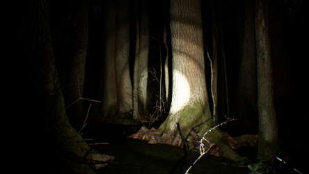 Search 4 Bigfoot screenshot 3