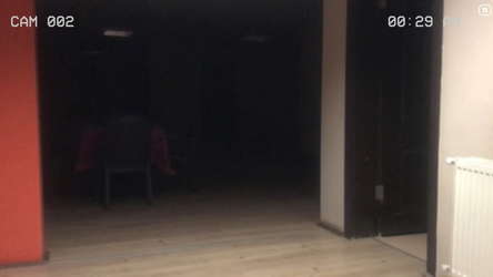 Paranormal Inc. screenshot 3