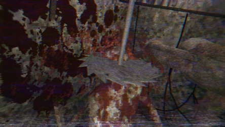 Ines screenshot 10