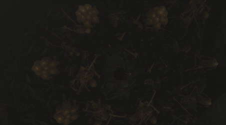 BURNT ASHES screenshot 5