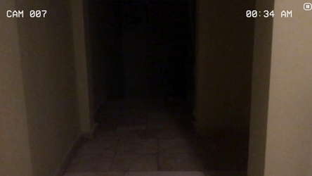 Paranormal Inc. screenshot 1