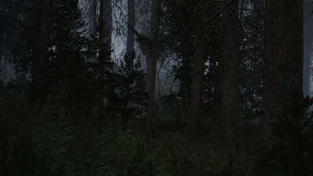 Veil of Mist screenshot 10