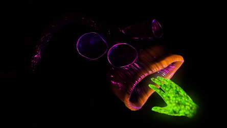 HOST screenshot 5