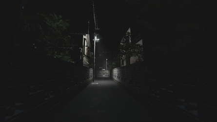 Akai Onna screenshot 1