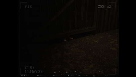 What Happened to Lily? screenshot 5