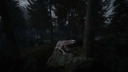 Beautiful Light screenshot 6