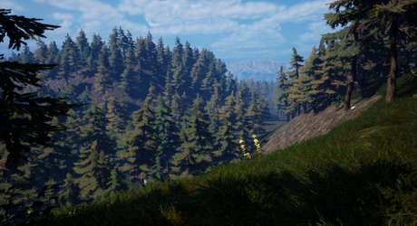 Forest Of Fear screenshot 1