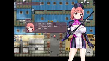Alisa’s  Incident Report screenshot 2